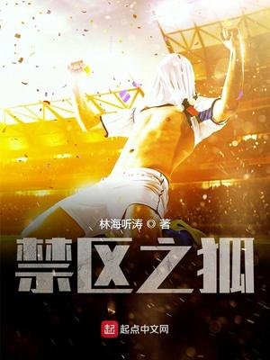 《禁區之狐》