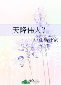 《天降伟人?》