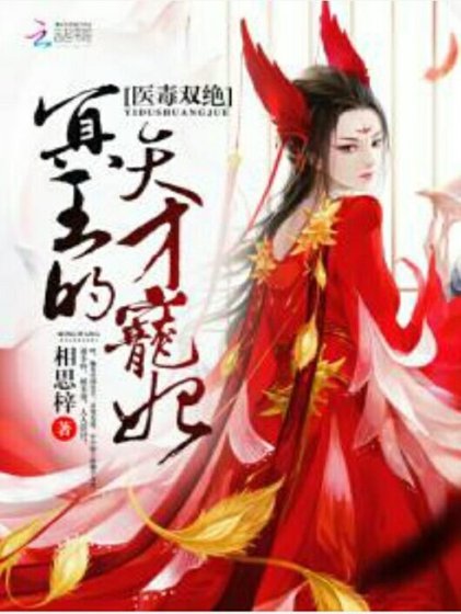 《医毒双绝:冥王的天才宠妃》