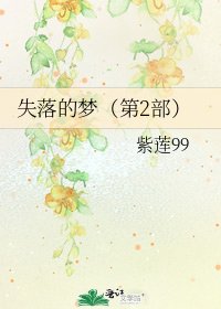 《失落的梦(第2部)》