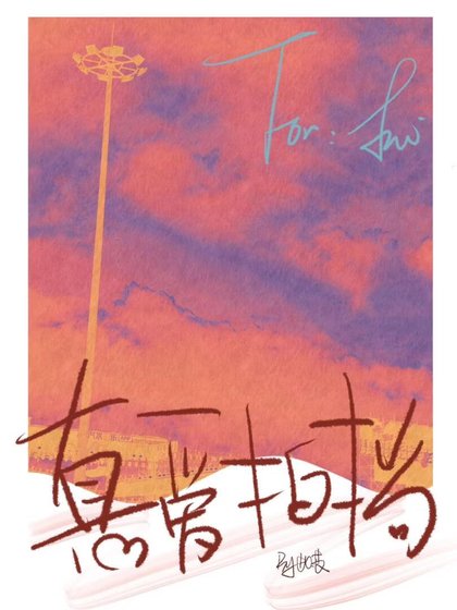 真爱拍档